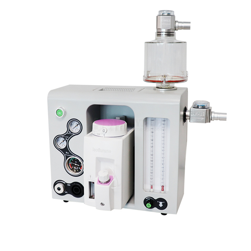 SY W109 Animal Skin Examination Medical