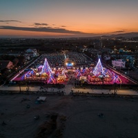 Tapis en gazon synthétique en plastique de 25 mm rose rouge Gazon artificiel pour les sports Exposition Décoration