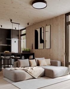 Maisons préfabriquées en kit pour l'Australie, bungalows modulaires entièrement meublés 1 chambre, maisons portables d'extérieur - Product Image 5