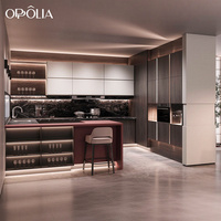 OPPOLIA, lauréate du Bronze Design Award, solution complète pour la maison, armoires de cuisine en chêne foncé texturé avec comptoir de bar éclairé