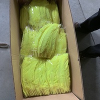 Plumes de dinde Lime Quill pour artisanat adulte, bricolage, chapeau créatif, accessoire de coiffure, costume, carnaval, fête, mariage, décoration intérieure