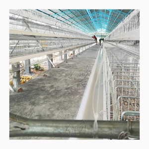 Giá thấp dây thép không gỉ lưới trắng lớn hoặc trung bình một loại lớp lồng chim - Product Image 1