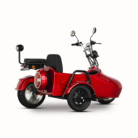 Scooter électrique à trois roues Sidecar Chopper 3000W GPS pliable, étanche, moteur sans balais, batterie au lithium - pour hommes/femmes/unisexe