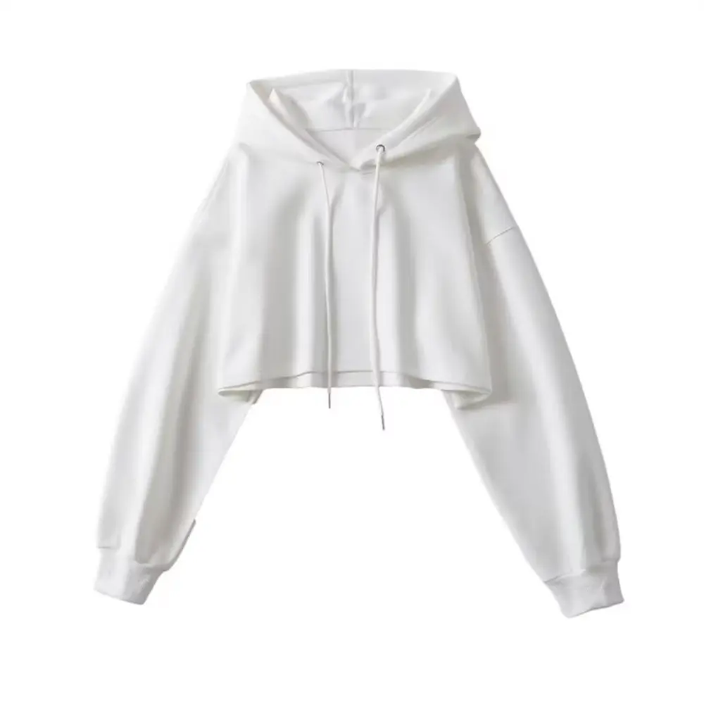 einfarbige blanko damen kapuzenpullover kundenspezifisches logo bestickt Übergröße hoodies & sweatshirts eigenmarke oem individualisierte zugeschnittenen hoodies