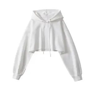 Plain Blank Women Hoodies Custom Logo Embroidered Plus Size Hoodies Sweatshirts Private Label Oem Customize Cropped Hoodies