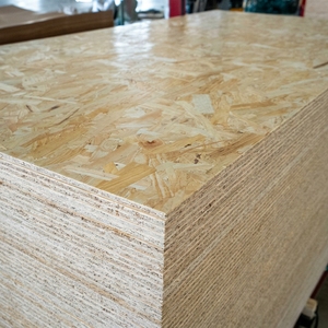 Vente en gros de contreplaqué filmé industriel de 18mm peuplier eucalyptus de Chine pour la construction coffrage en béton 12mm - Product Image 2