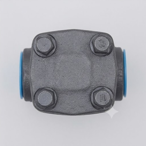 Válvula de Retención de Acero Forjado A105 de Alta Presión con Resorte, Conexión NPT, Válvula Industrial - Product Image 4