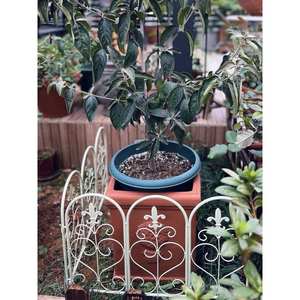 Panneau de clôture de jardin en fer blanc 57 cm x 50 cm, clôture décorative extérieure pour parterres de fleurs et décoration de treillis - Product Image 2