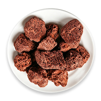 Roches volcaniques poreuses rouges et noires en vrac de source minère pour importateurs d'aquariums et distributeurs de matériaux horticole