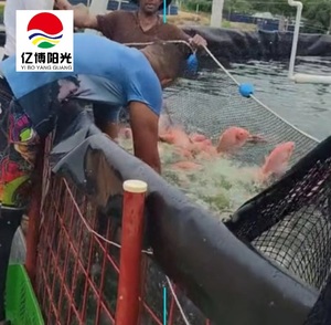 Revêtements d'aquaculture pour réservoir revêtement d'étang à poissons - Product Image 6