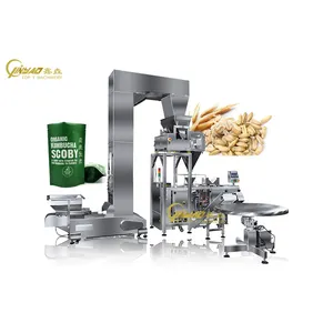 TOP Y Automatic MDP Cereal Doypack Packaging Machinery Premade Bag Organic Rolled Oats Packaging Machine