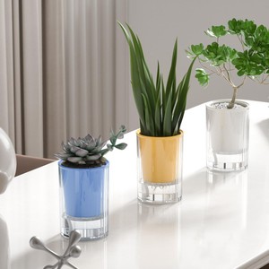 Maceta automática <span class=keywords><strong>de</strong></span> absorción <span class=keywords><strong>de</strong></span> agua para personas perezosas para plantas <span class=keywords><strong>de</strong></span> interior Maceta suculenta Macetas hidropónicas <span class=keywords><strong>de</strong></span> plástico - Product Image 4