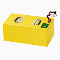 Baterai 300ah 24V 48V 100Ah 160ah 200Ah 300Ah 400Ah Lifepo4 Paket Baterai Lithium dengan BMS JBD 200A untuk Forklift