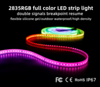 Bande lumineuse LED RGB 24V SMD2835 16,4 pieds IP67 étanche DMX adressable programmable par USB flexible