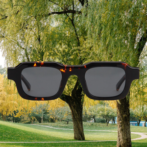 Gafas de Sol de Diseño de Alta Calidad para Mujer, Tendencia 2026, Lentes de Acetato Polarizadas con Protección UV400, Montura Cuadrada Pequeña y Gruesa para Hombre - Product Image 3