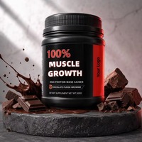 Poudre de Protéine de Lactosérum au Chocolat pour Adultes, Gain Musculaire, Direct Usine, pour Hommes et Femmes, Récupération Sportive, Fournisseur OEM ODM