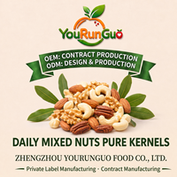 Mélange de noix pures en gros OEM pour consommation quotidienne – 5 types : noix, noix de cajou, amandes, noisettes, pecans – Vrac 25g