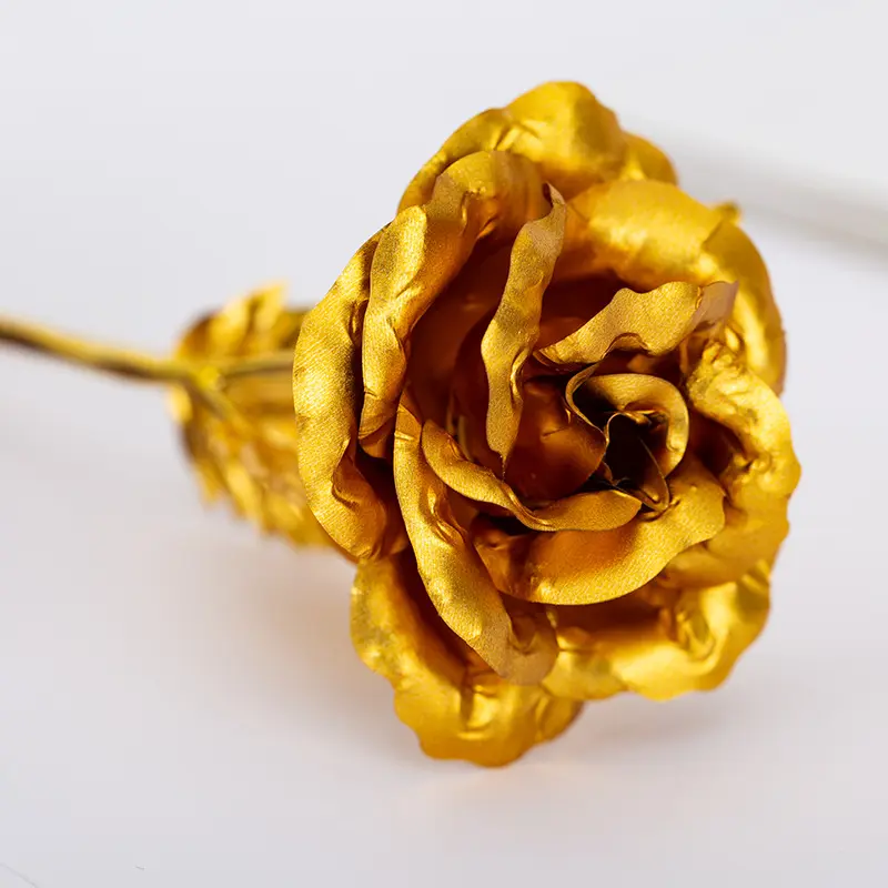 Sıcak satış 24k altın kaplama gül ebedi güller güzel 24K altın daldırma korunmuş gül çiçek kız arkadaşı için