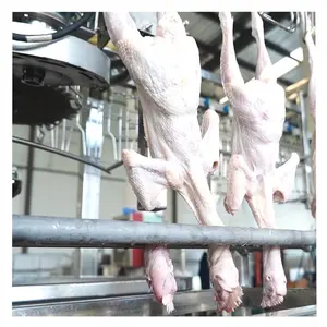 high efficient chicken plucker machine made in china poultry slaughtering equipment