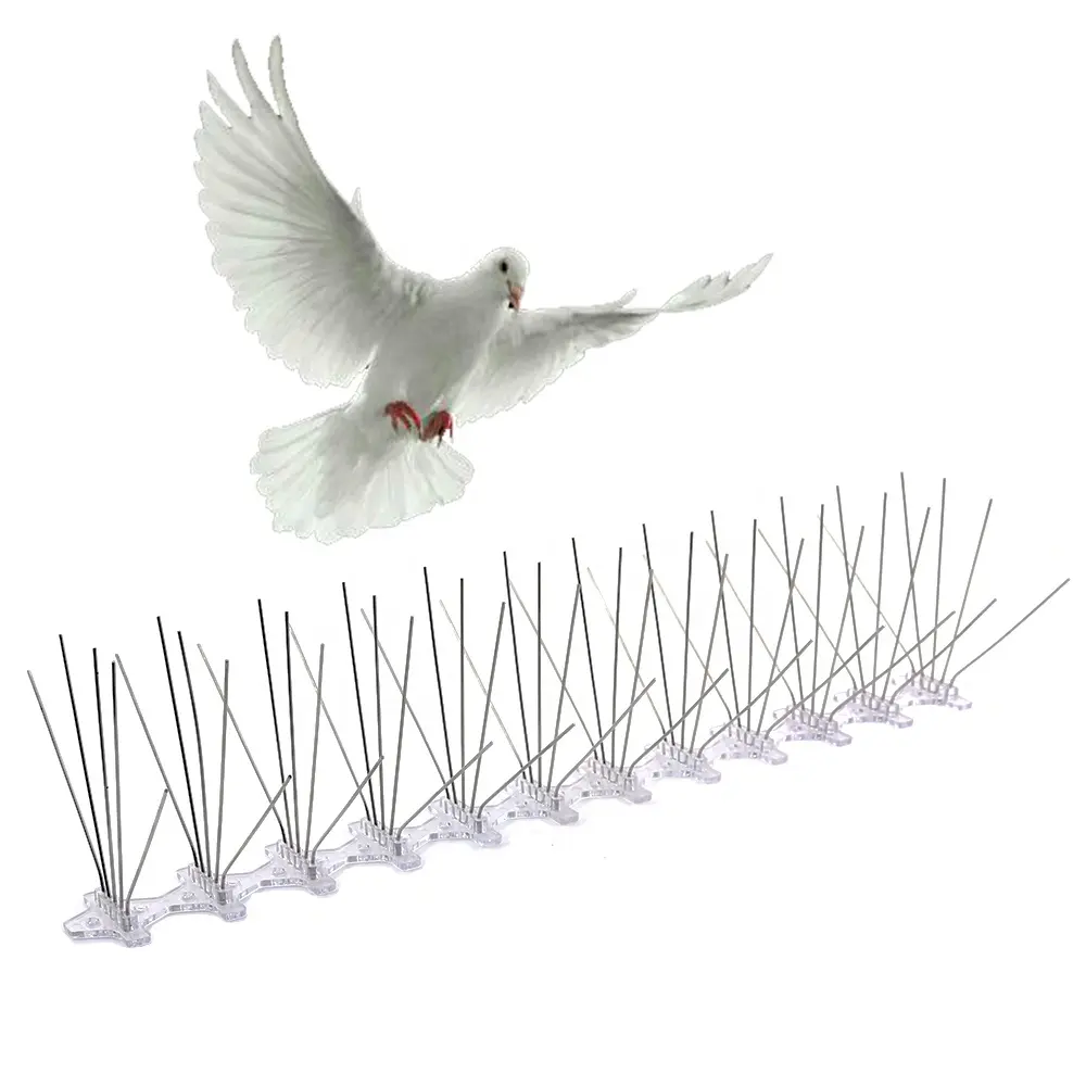 Hot sales garden bird prevention 201 304 48cm length stainless steel anti bird spikes anti pigeon plastic