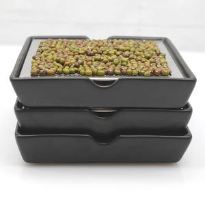 Bandeja <span class=keywords><strong>de</strong></span> germinación <span class=keywords><strong>de</strong></span> <span class=keywords><strong>semillas</strong></span> <span class=keywords><strong>de</strong></span> cerámica con placa <span class=keywords><strong>de</strong></span> germinación cuadrada negra <span class=keywords><strong>de</strong></span> alta calidad con tapa <span class=keywords><strong>de</strong></span> malla <span class=keywords><strong>de</strong></span> acero inoxidable para Kit <span class=keywords><strong>de</strong></span> germinación - Product Image 3