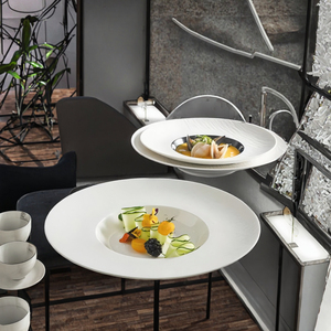 Service de vaisselle en porcelaine écologique pour restaurants et hôtels – Couleur et taille personnalisables – Design minimaliste 9 pouces - Product Image 3