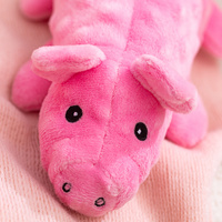 Jouets pour chiens en peluche douce, formes cochon et dragon, faibles quantités minimales de commande, fabricant personnalisé, cadeau adorable pour animaux de compagnie