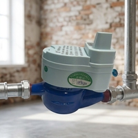 Compteur d'eau intelligent LoRaWAN, lecture à distance sans fil AMR, type multi-jet sec DN15 DN20, prix usine