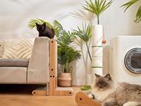Arbre à chat double face en forme de T, écologique, en bois et carton, pour chats d'intérieur - Protection de meubles