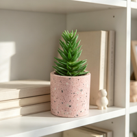 Pot de plante cylindrique en terrazzo rose, petit pot à texture de béton moucheté, mini-planteur moderne pour succulentes et cactus