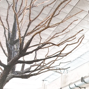 Thân cây nhân tạo bằng sợi thủy tinh thủ công, tùy chỉnh, không lá, trang trí cây chết, đồ trang trí nghệ thuật trong nhà - Product Image 4