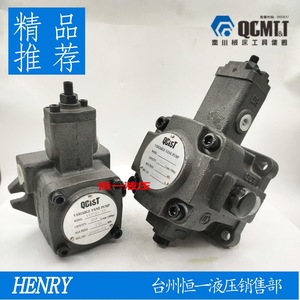 QCIST ปั๊มไฮดรอลิก VVP15B 20 VVP20B 35 VVP30B 55 VVP40B 70 สำหรับเครื่องมือเครื่อง CNC - Product Image 2