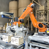 Robot de manutention industriel à grande vitesse pour palettes, KUKA KR50 R2500-2, pour transfert automatique sur ligne de production
