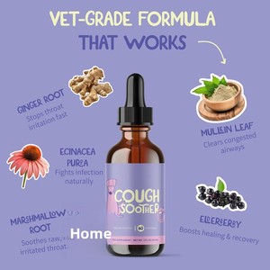 Gouttes apaisantes pour la toux des animaux de compagnie OEM/ODM avec racine de gingembre et échinacée purpure – Approvisionnement direct pour la santé de la gorge et un sommeil réparateur sans toux - Product Image 4