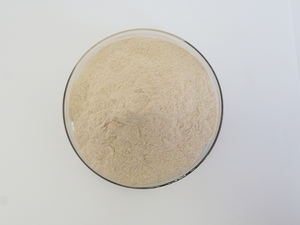 ผู้ผลิตซัพพลายเอนไซม์ Amyloglucosidase - Product Image 2