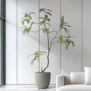 Trong nhà ngoài trời nhân tạo lụa Mimosa cây nhựa giả keo cây xanh nhà văn phòng trang trí nội thất bền trong nhà/ngoài trời trang trí - Product Image 1