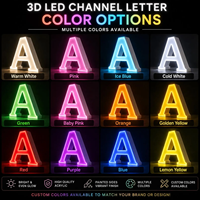 Enseigne lumineuse LED 3D personnalisée en acrylique pour entreprises, lettres frontales lumineuses, logo, nom, panneau pour centres commerciaux, parcs, extérieur, mur