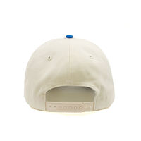 Gorra de Béisbol de Algodón de Dos Tonos, 5 Paneles, Bordado 3D, Cierre a Presión, Gorra Deportiva de Béisbol al por Mayor