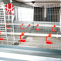 Cage à poulets de chair en batterie de type H, 4 niveaux, alimentation et abreuvement automatiques, abreuvoir à tétine, certifiée CE, avec courroie de fumier en acier galvanisé