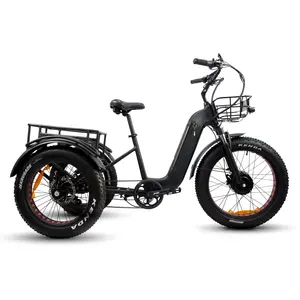 Yüksek kaliteli kargo elektrikli Trike lityum akülü 350W disk fren 20 inç üç tekerlek elektrikli üç teker bisikletler