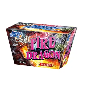 Best Sales Fire Works Salute 500G Fireworks Cakes