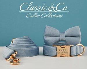 Collier et laisse pour chien personnalisés avec nom gravé, boucle en métal, bleu poussière, avec clochette et nœud, livraison gratuite - Product Image 3