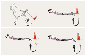 Kit d'insémination artificielle numérique IA pour animaux (chèvre, mouton, porc, bovin) avec fonctions de diagnostic - Product Image 4