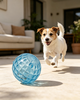 Jouet pour chien en forme de balle à texture diamantée transparente, balle interactive en plastique dur pour animaux de compagnie, jouet d'entraînement durable pour tous les chiens