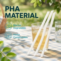 Pailles biodégradables en PHA, ouverture de 12 mm, pour thé boba, dégradables naturellement dans l'eau, pour événements