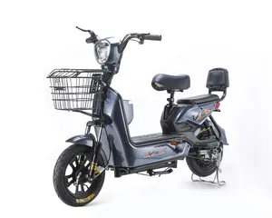 批发好价格2座电动自行车ebike 350w 48v 12ah带踏板电动自行车