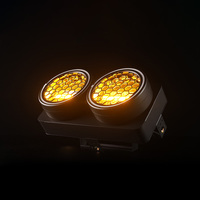 2 Ojos LED Retro Etapa Fondo Blinder Luces