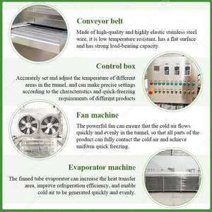 Máquina de congelación de bloques de aves de corral y mariscos de congelación rápida Individual comercial Congelador rápido de pies de pollo con componente de núcleo de motor - Product Image 3