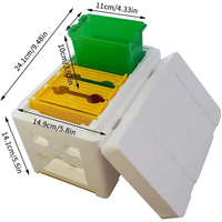 Mini boîte NUC d'accouplement reine des abeilles élevage boîte en plastique mousse de styrène