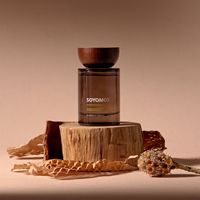 Diffuseur à bâtonnets en verre 500 ml, parfum d'ambiance naturel à évaporation longue durée pour voiture, sans flamme, décoration intérieure